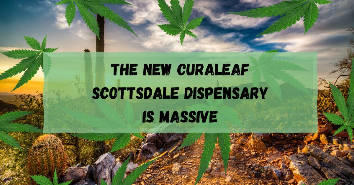 The New CuraLeaf Scottsdale Dispensary is HUGE